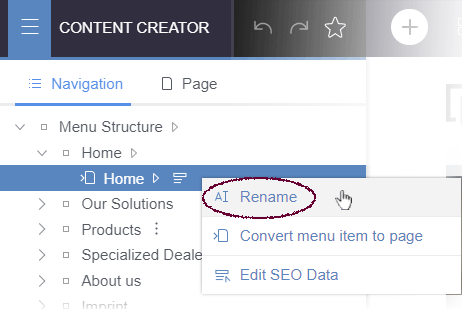 Navigation bar: "Rename"