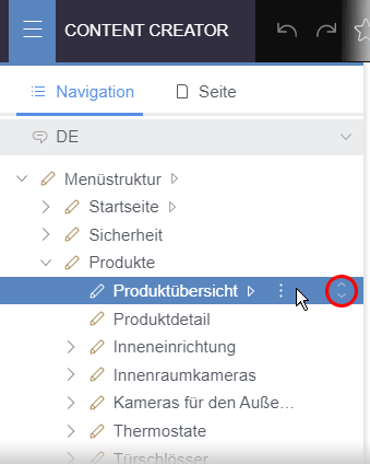 Anfasser zum Verschieben einer Seite