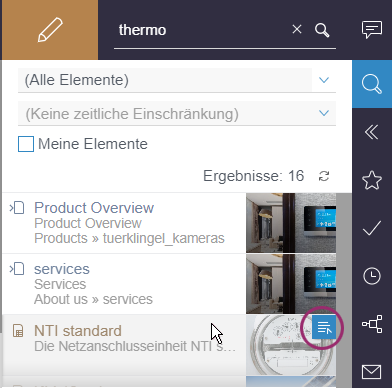 Datensatz in einem Such-Report