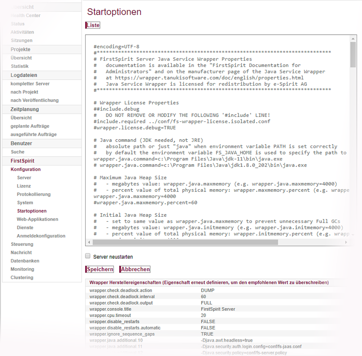 Bearbeiten der Startoptionen (ServerMonitoring)
